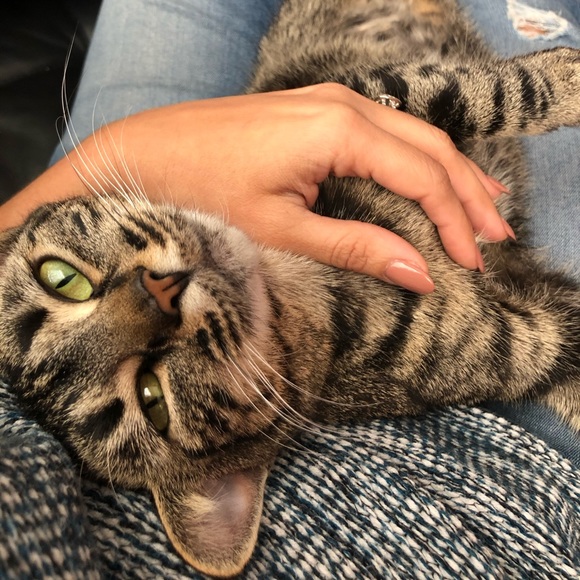 $5 sale!!! - Picture 5 of 6